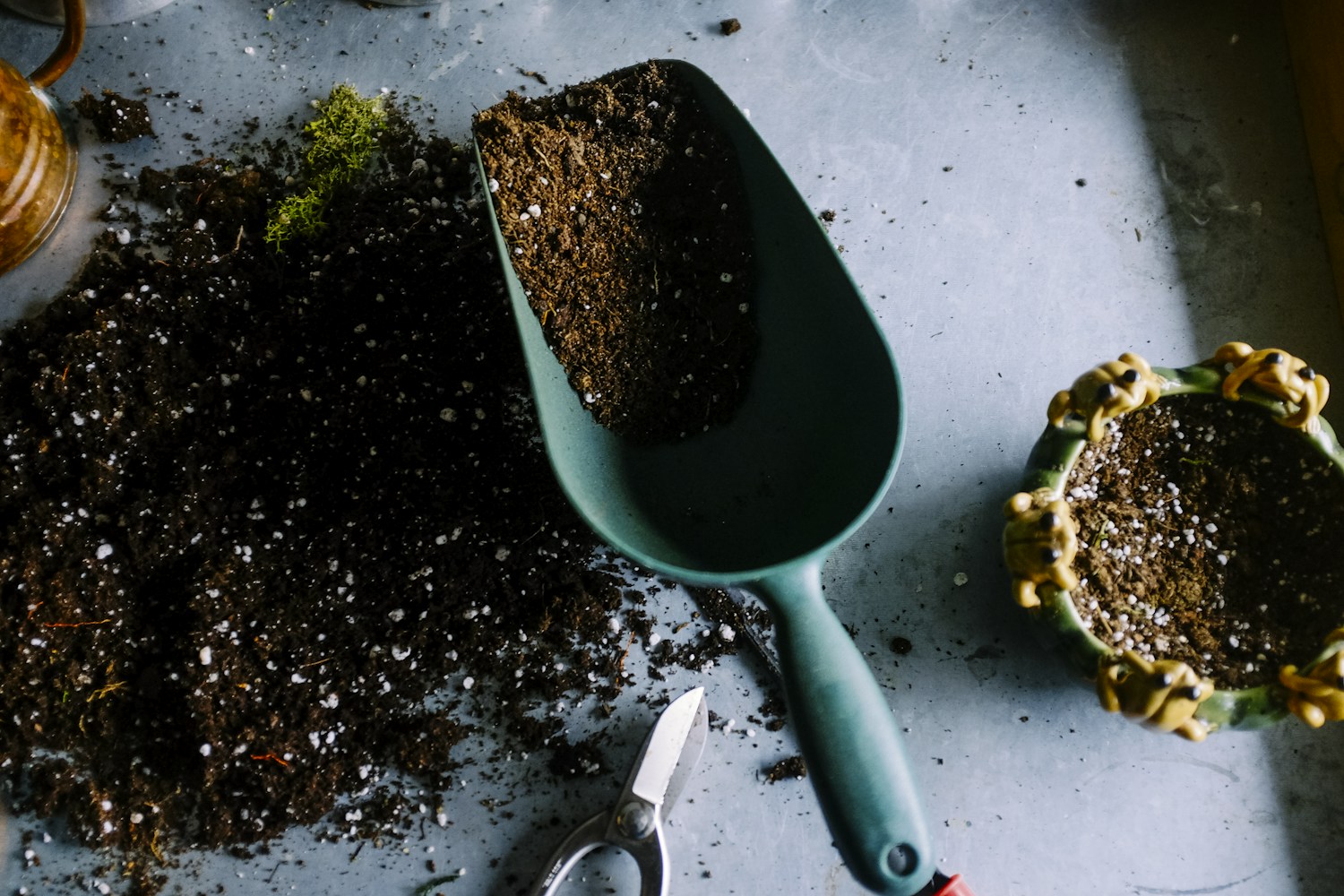 Landscaping & lawn care sample website